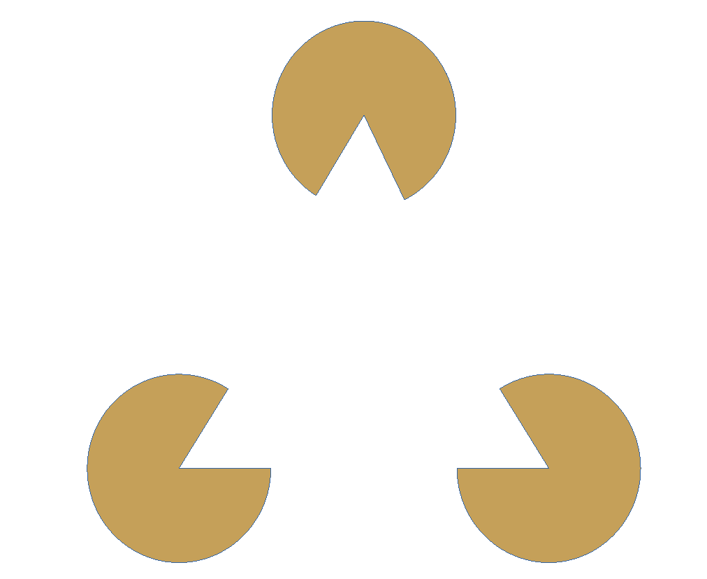Sustainable Transformation - Total Congruence